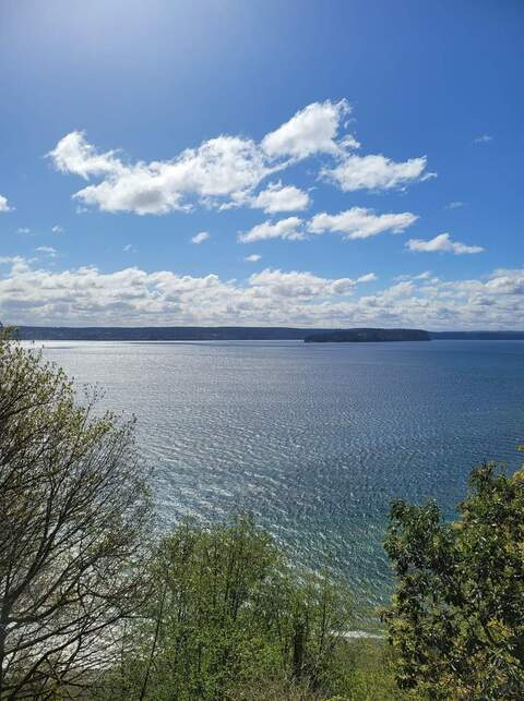 anythingforselena93 photo 1