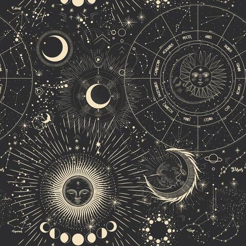 ashlielotustv photo 1