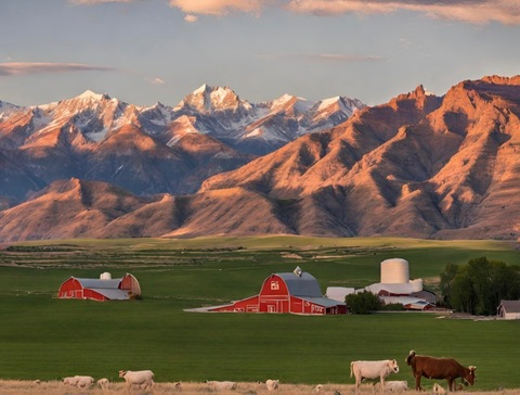 callmemissmolly photo 1