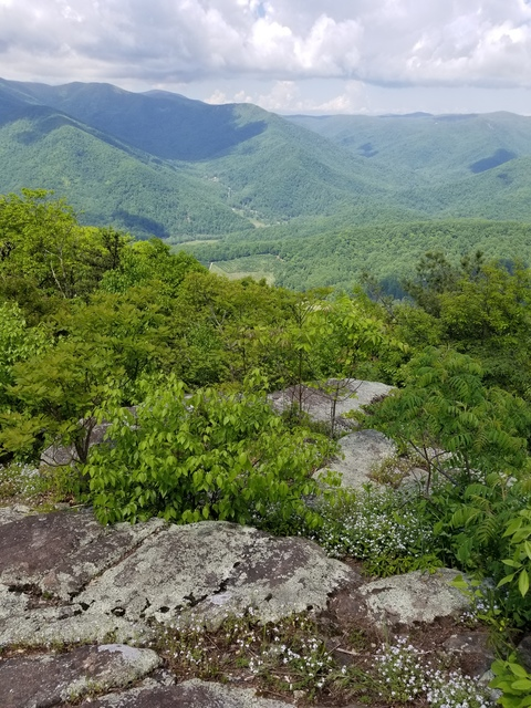 kittykatdoll28 photo 1