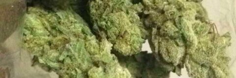 mr.pipeemdown photo 1